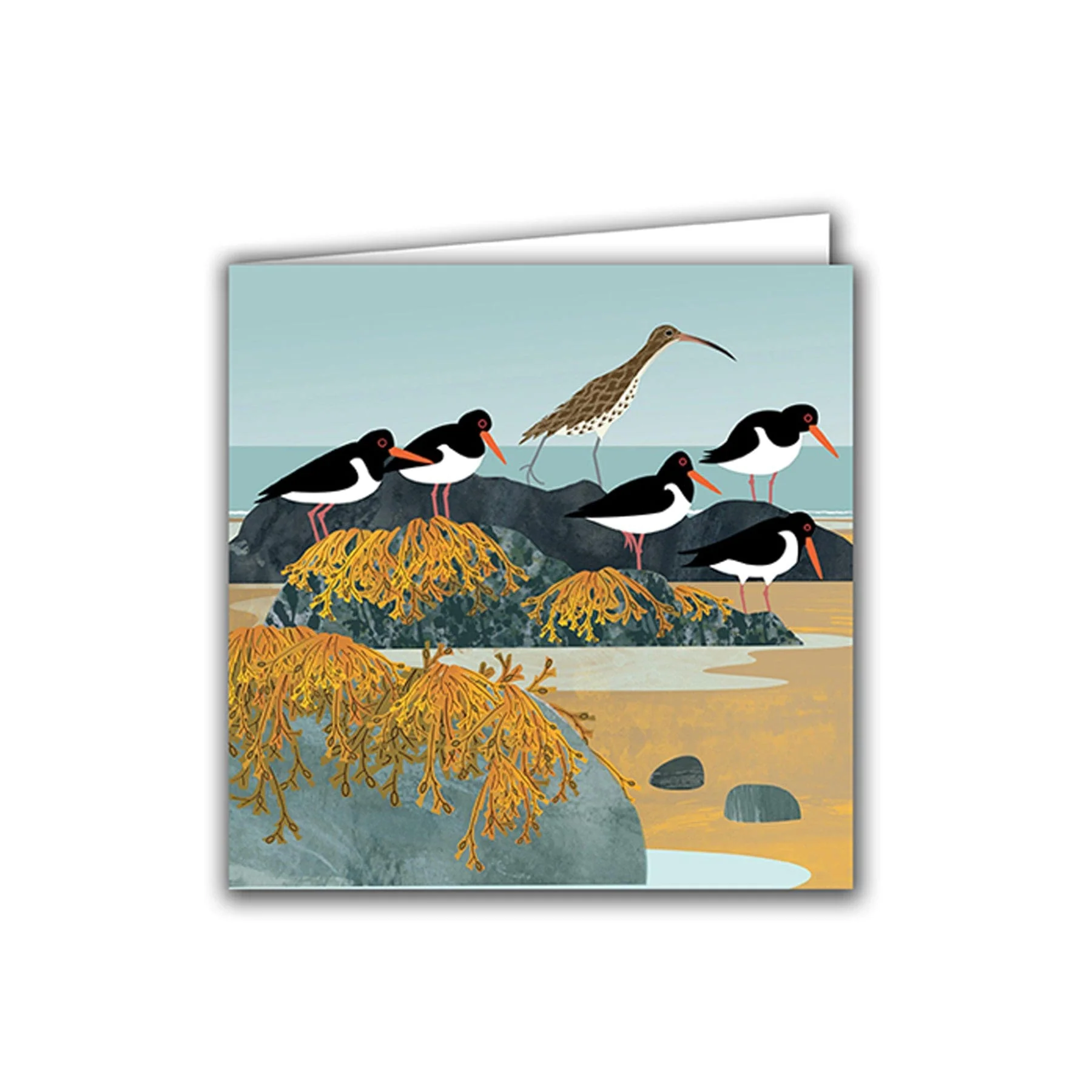 Curlew & oystercatchers greetings card - Image 2