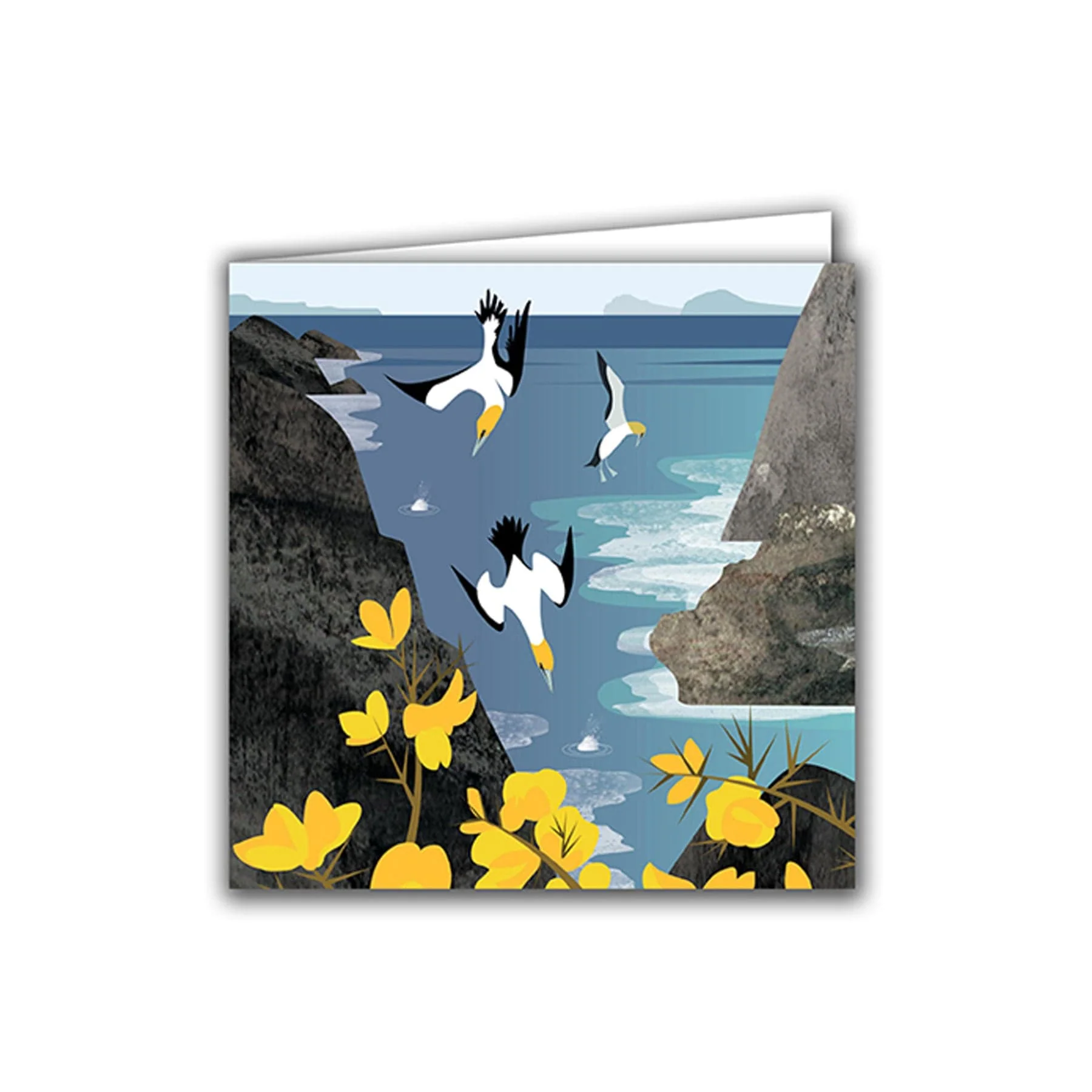 Diving gannets greetings card - Image 2