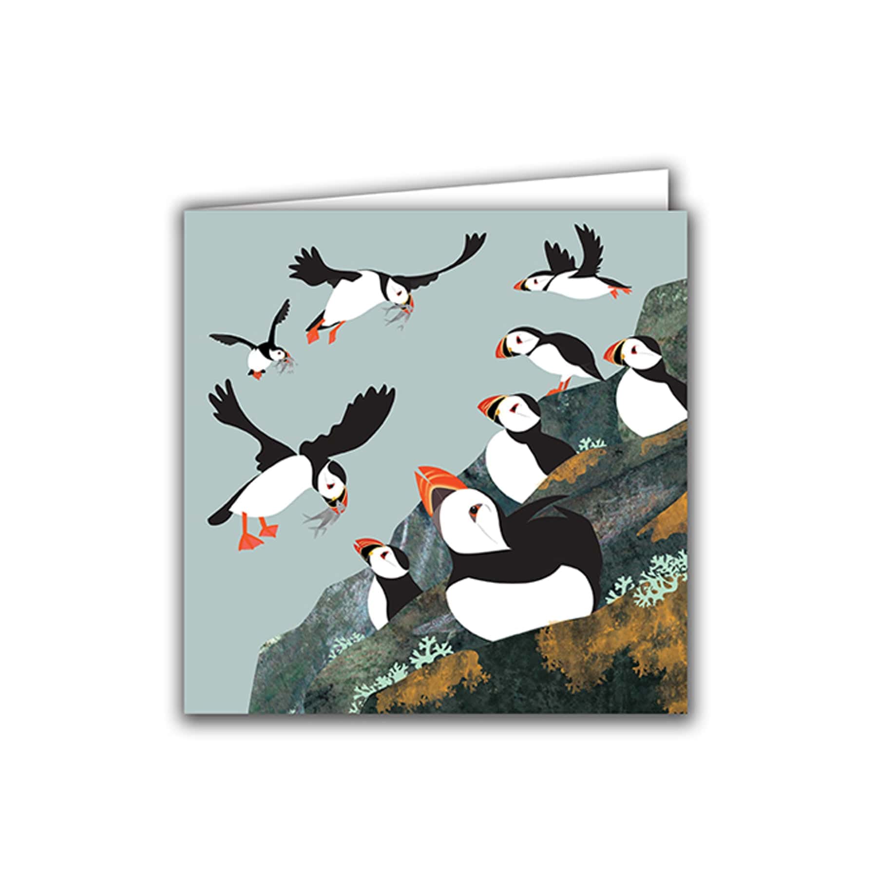Puffin colony greetings card - Image 2