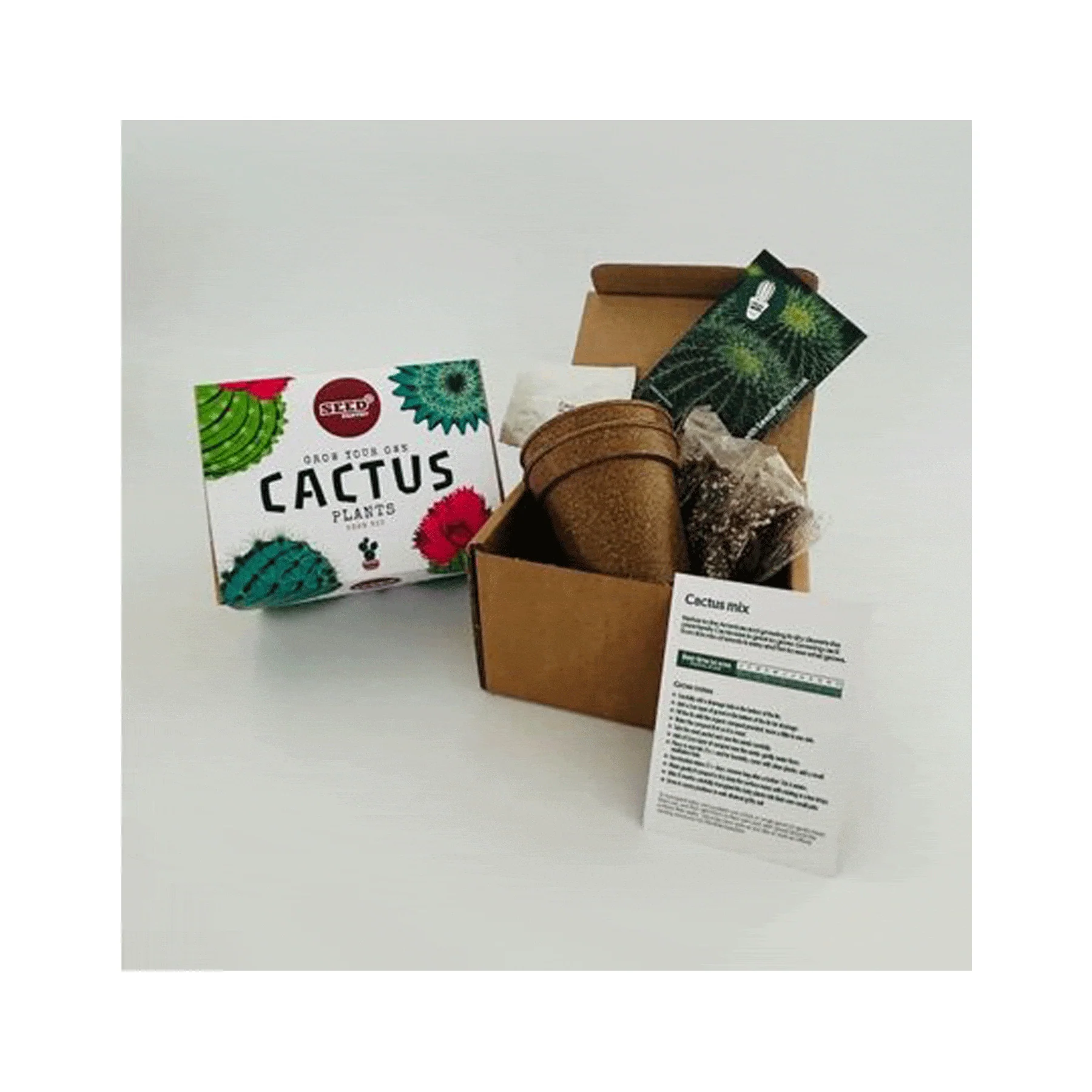 Cactus mix seed kit - Image 2
