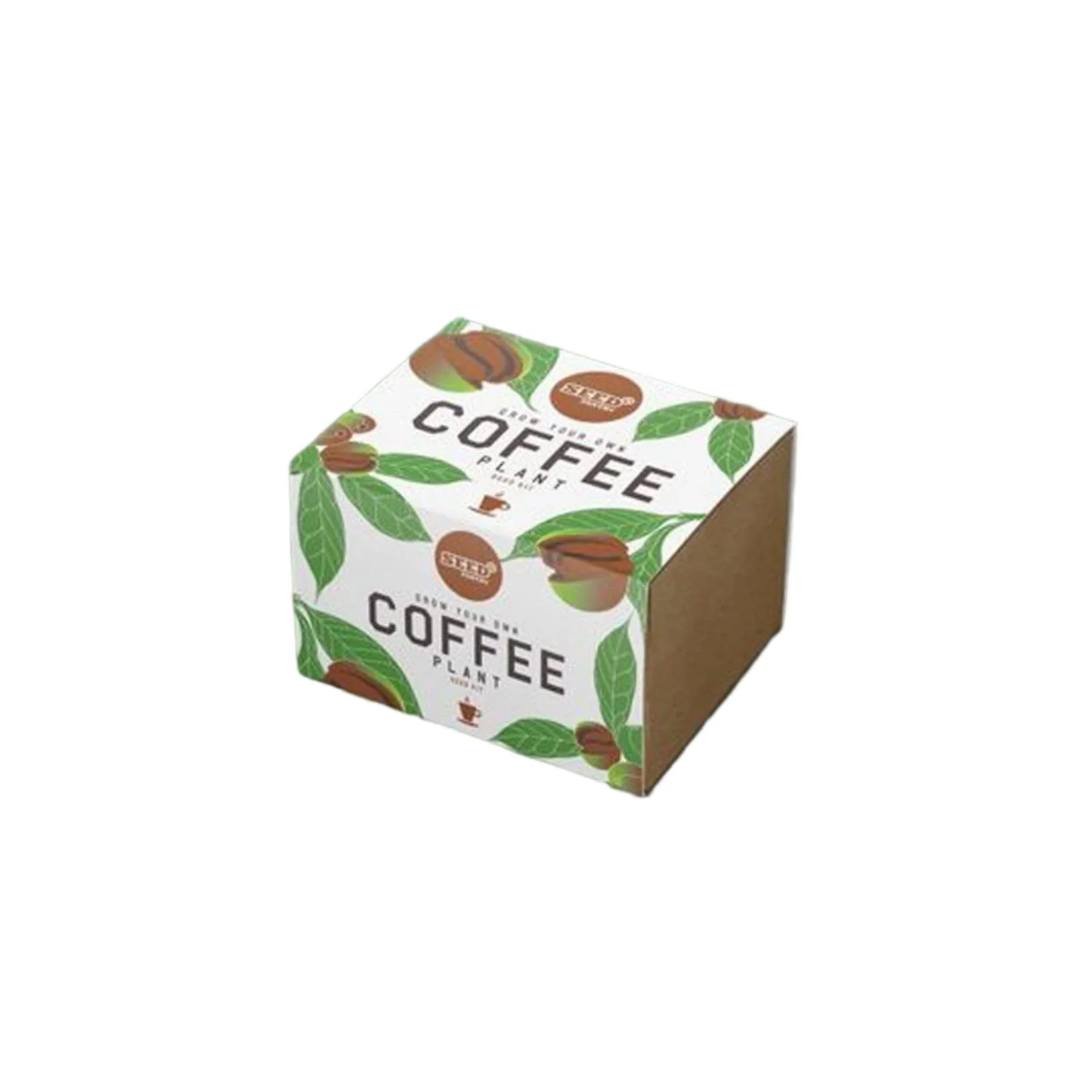 Coffee plant seed kit