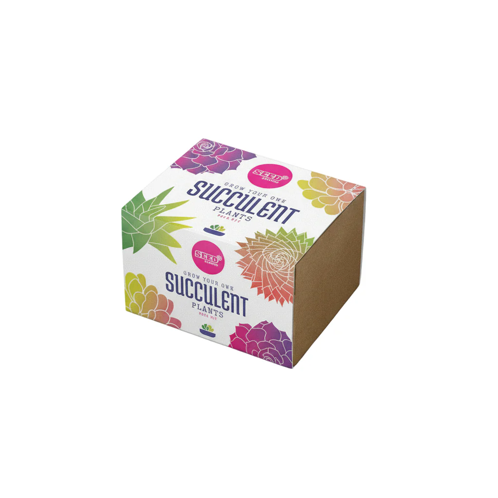 Succulent mix seed kit