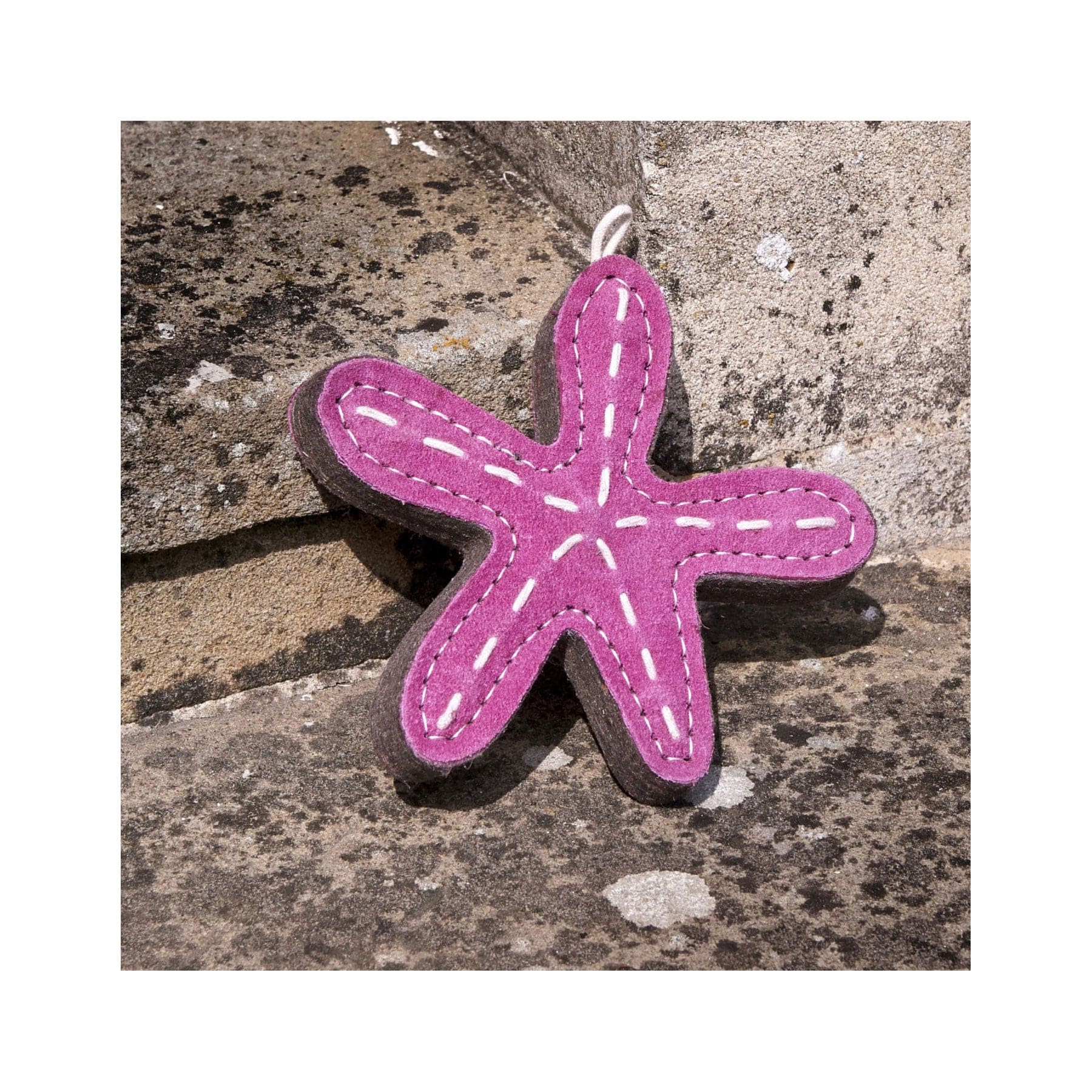 Stanley the starfish eco pet toy - Image 3