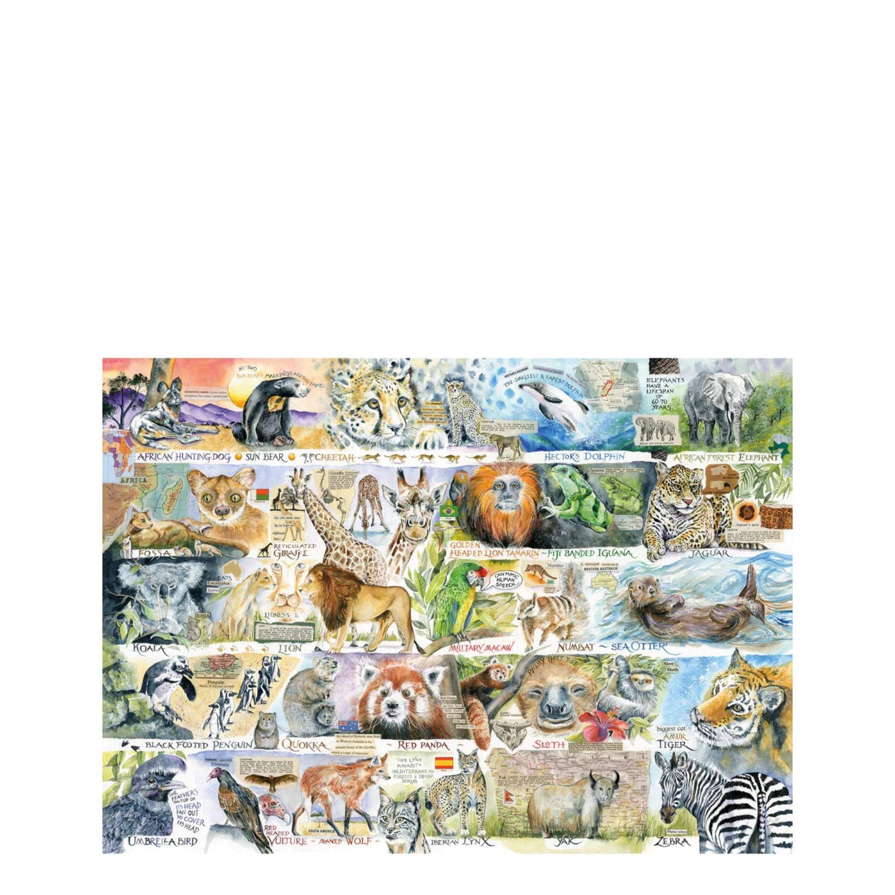 Sun bears & sloths 1000 piece jigsaw puzzle - Image 2