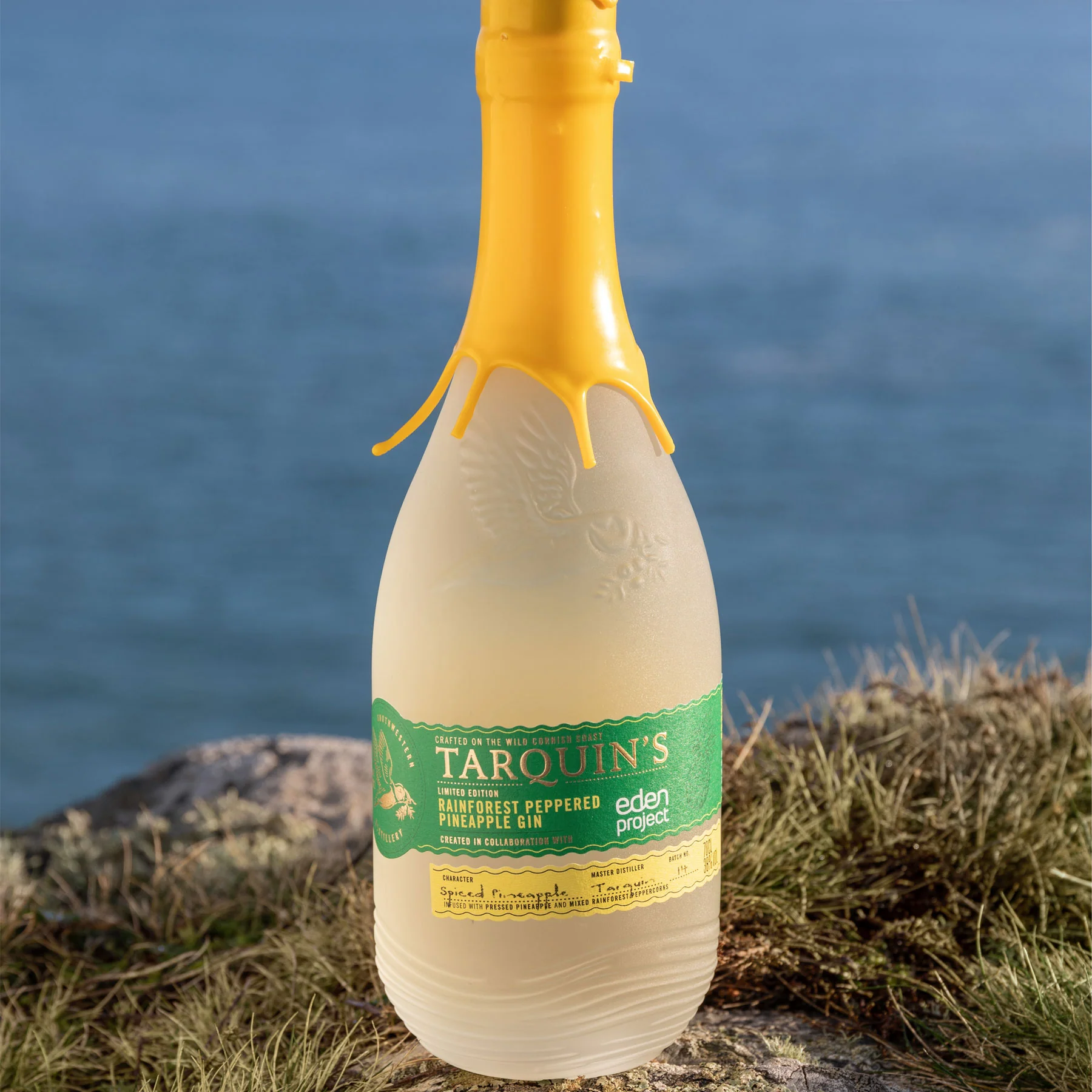 Eden Project rainforest gin 70cl - Image 2