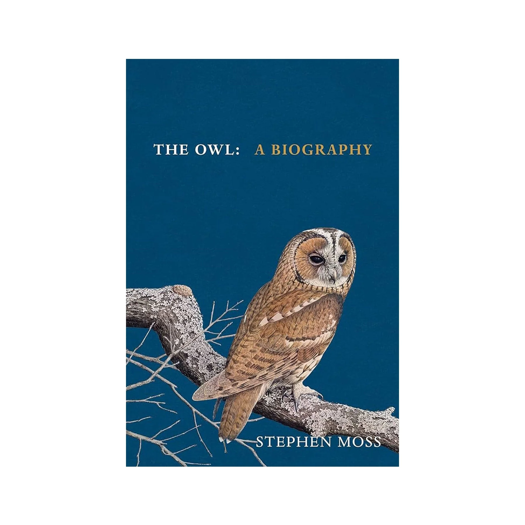 The owl: A biography