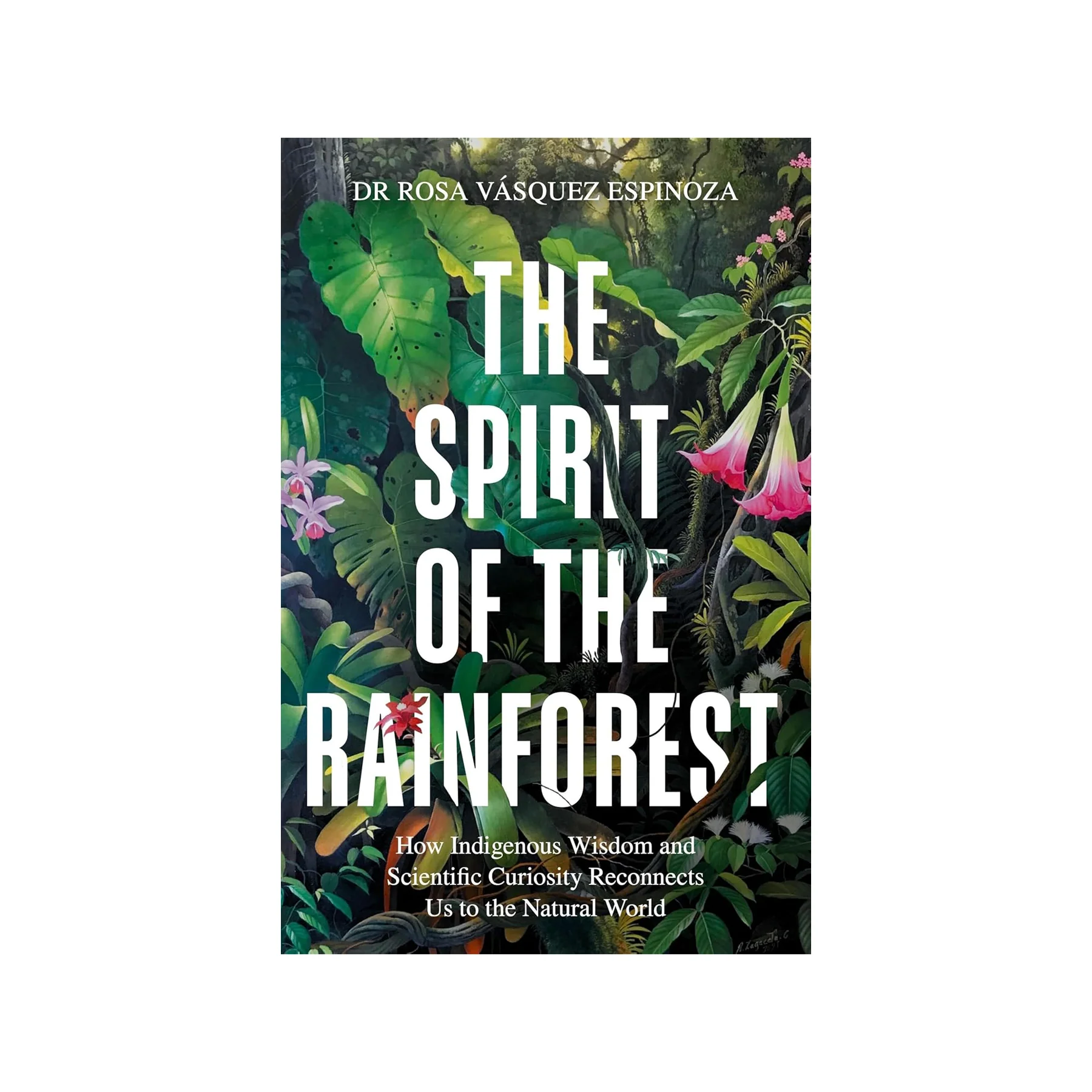 The spirit of the rainforest