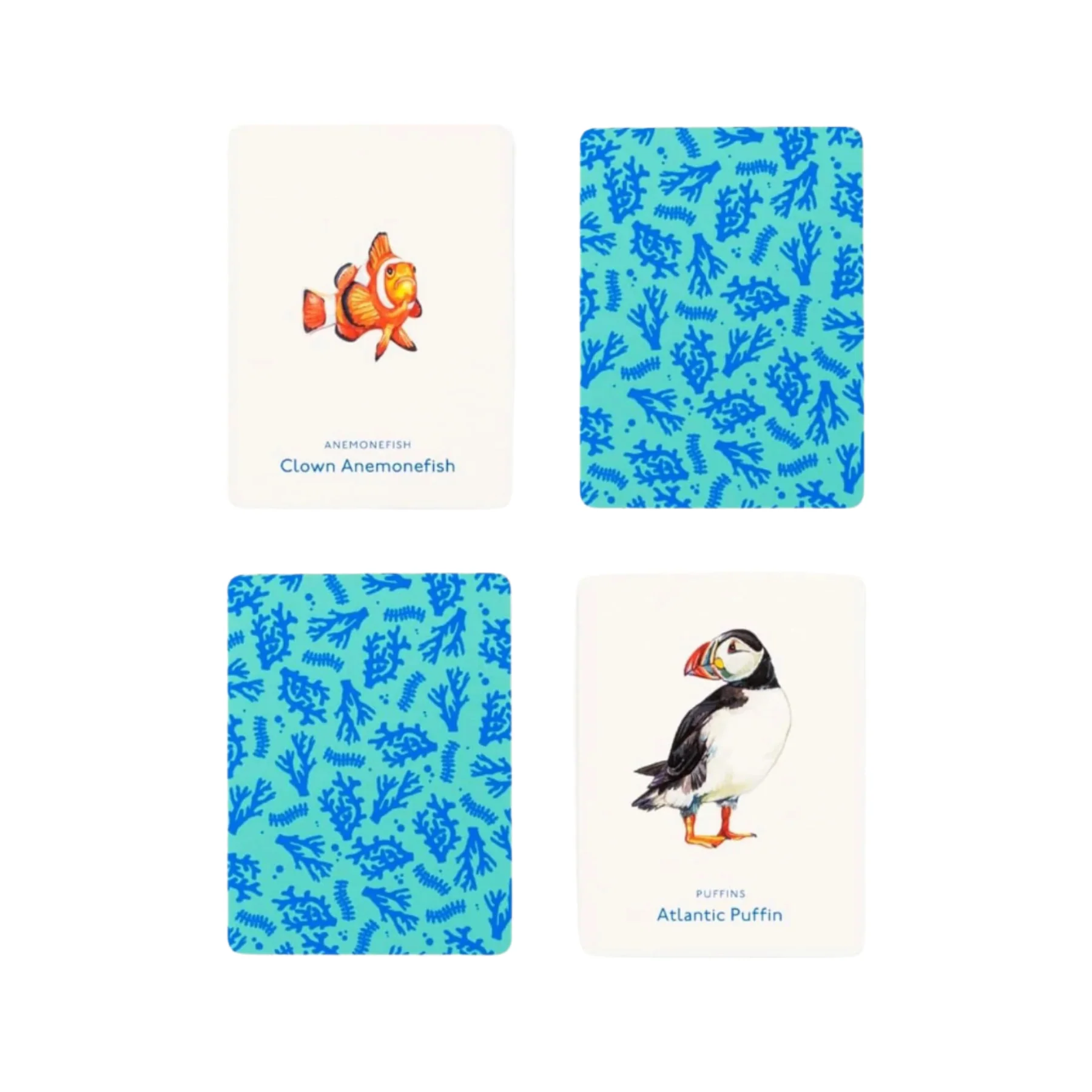 Under the sea: an ocean memory game - Image 5