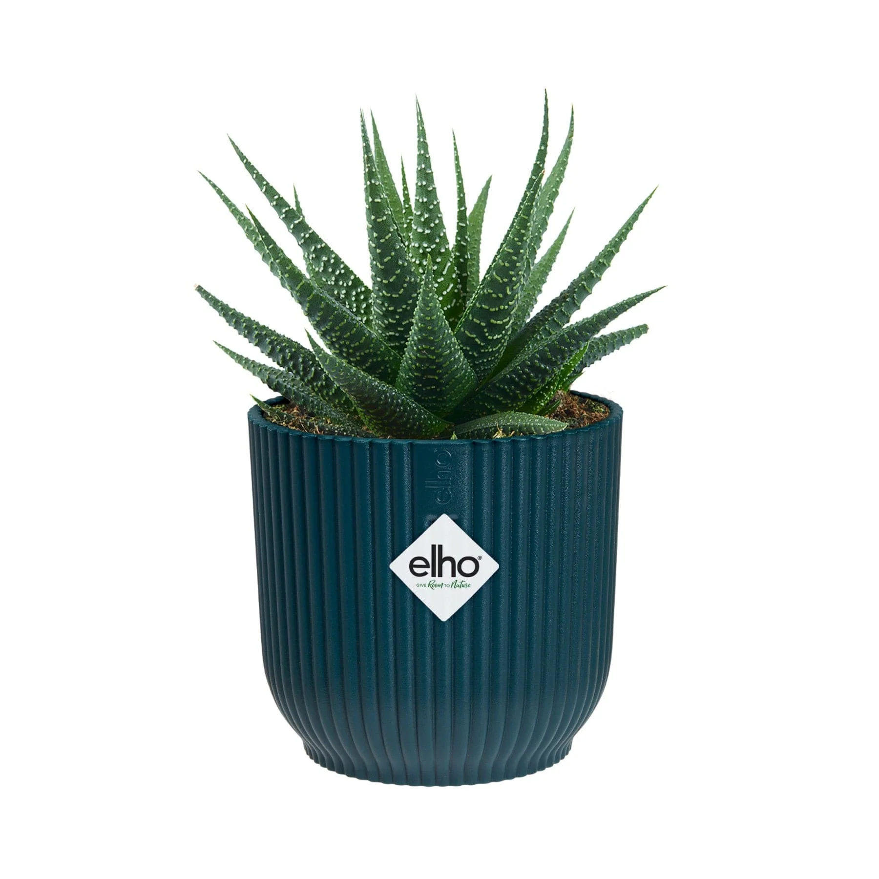 Vibes fold round mini plant pot - Image 2