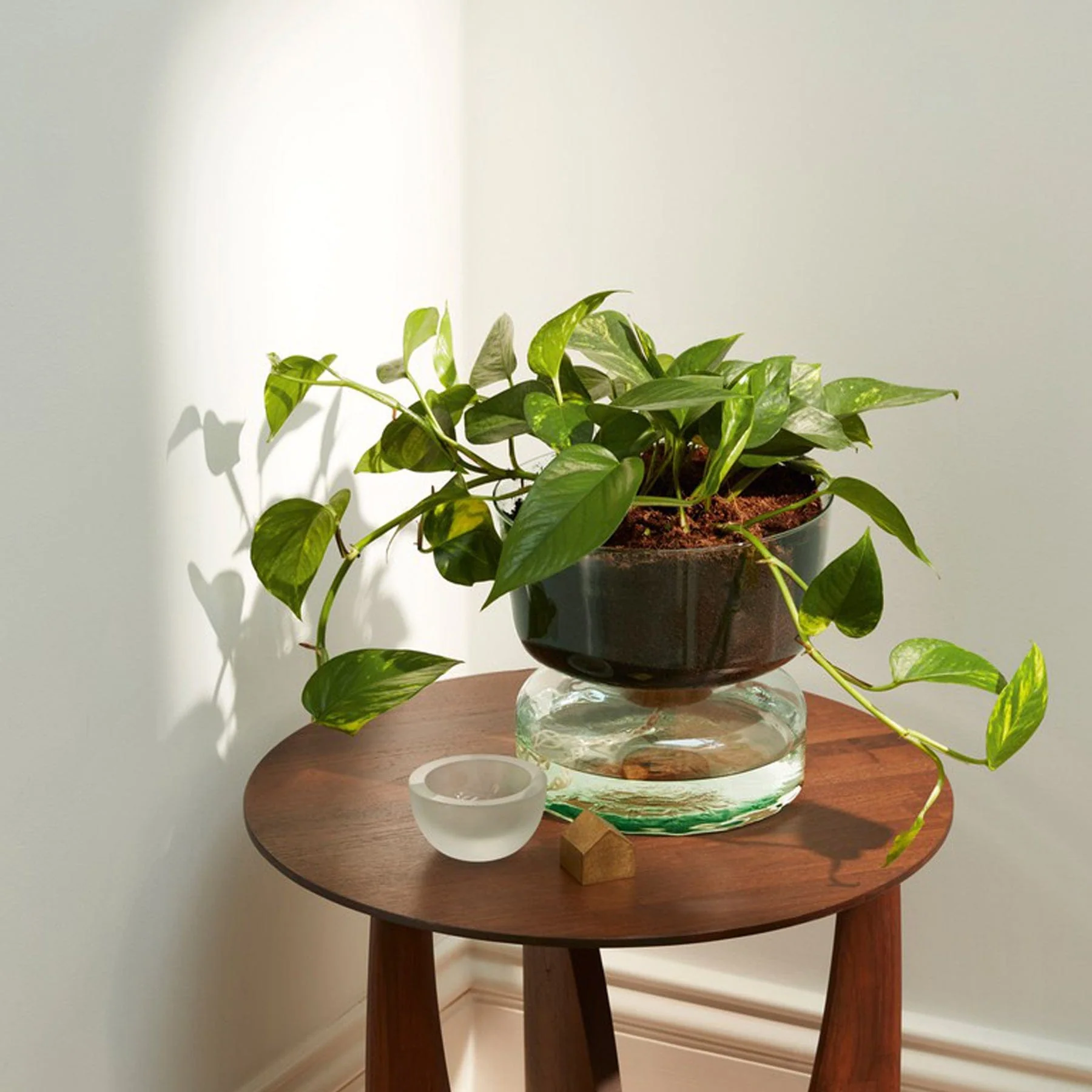 Canopy self watering planter H22cm - Image 3