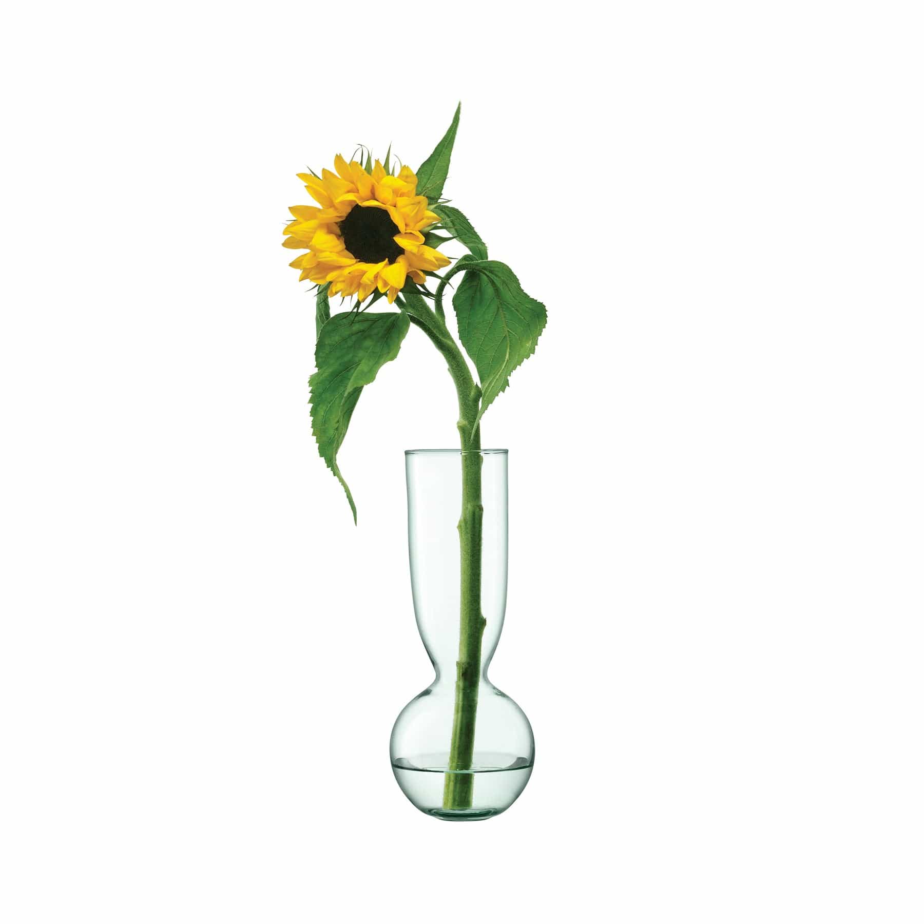 Canopy trio vase set H25cm / H30cm / H35cm - Image 5