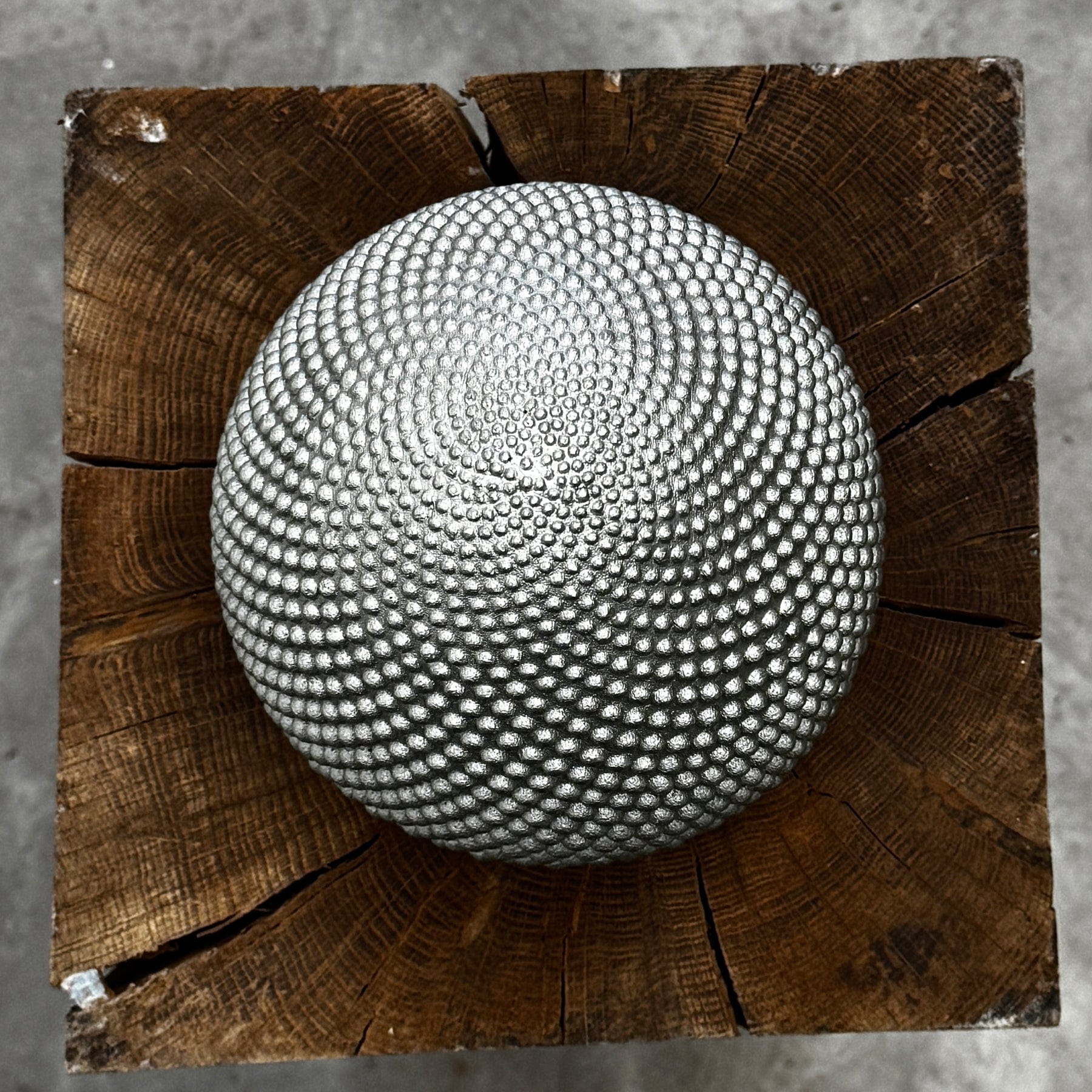Tin Seed Ltd Edition - Image 5